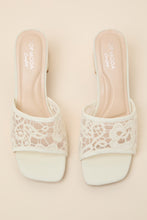 Ivory Linen