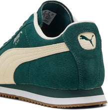 Green Terrain/Alpine Snow