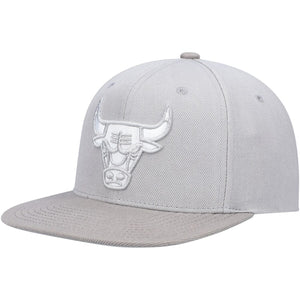 Chicago Bulls Metallic Grey