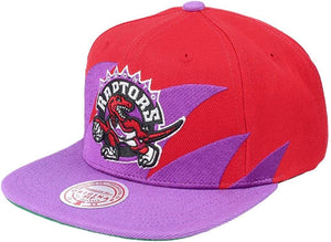 Tronto Raptors Red/Purple