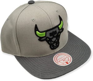 Chicago Bulls Grey