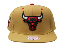 Chicago Bulls Tan