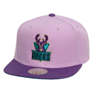 Milwaukee Bucks Light Purple  