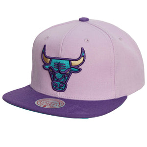 Chicago Bulls Light Purple  