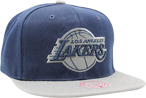 Los Angeles Lakers Blue/Grey