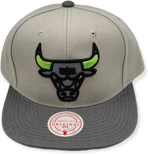 Chicago Bulls Grey