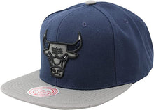Chicago Bulls Blue/Grey