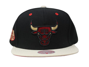 Chicago Bulls Black 