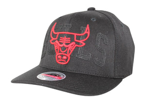 Chicago Bulls